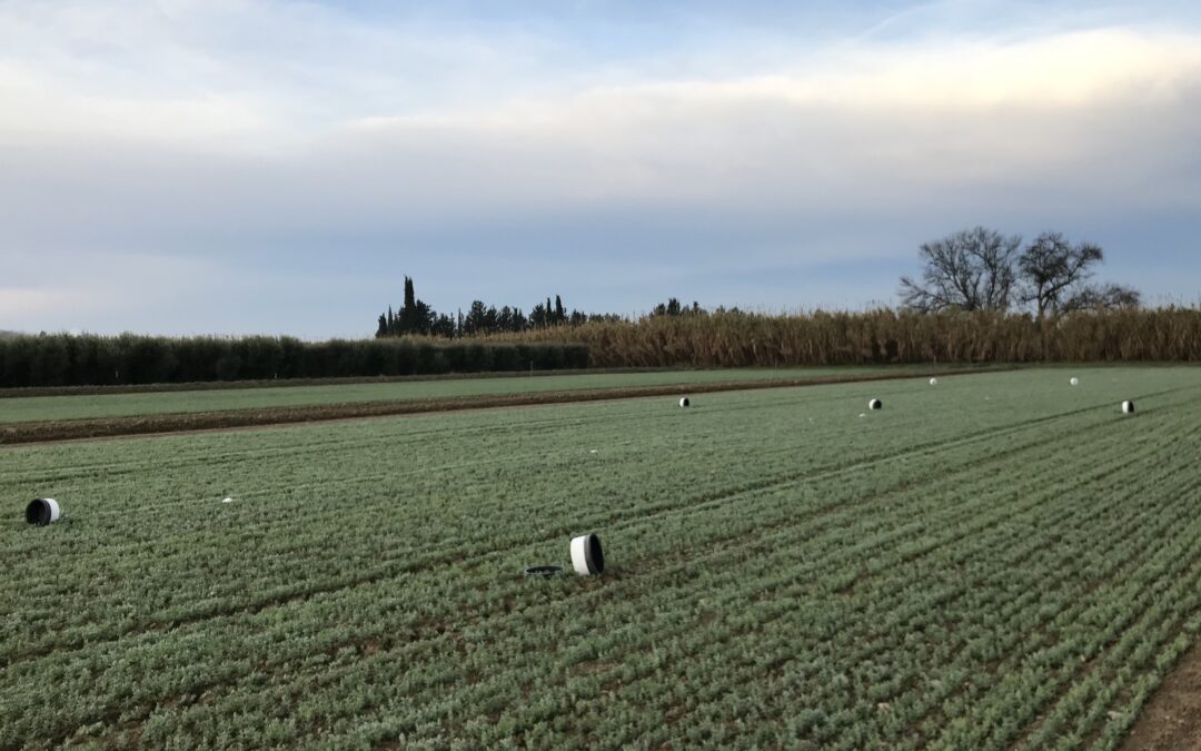 Curso avanzado en evaluación y mitigación de las emisiones de gases de efecto invernadero en agricultura: Conceptos, métodos y herramientas de simulación