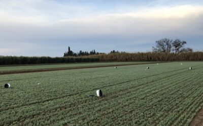 Curso avanzado en evaluación y mitigación de las emisiones de gases de efecto invernadero en agricultura: Conceptos, métodos y herramientas de simulación