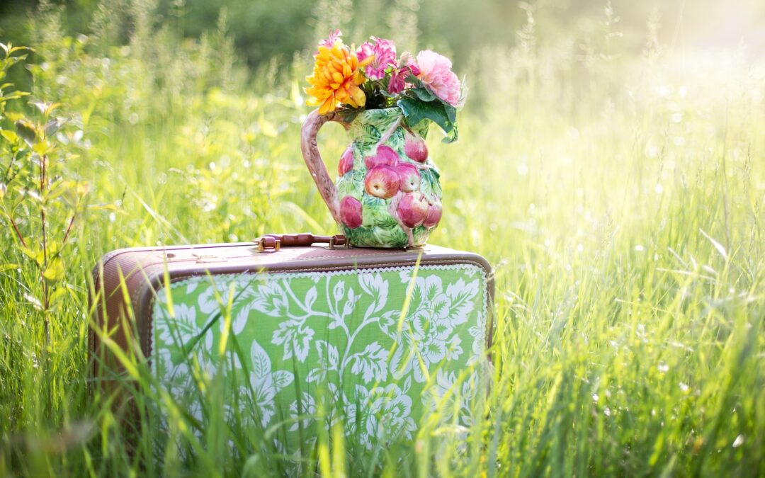 ¡¡ Actualizamos el blog !!