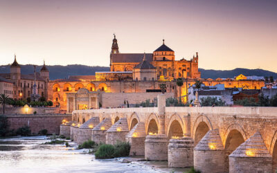 Ampliación del plazo de envío de resúmenes para el Workshop de Red REMEDIA