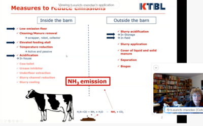 Mejores técnicas disponibles en el ganado bovino