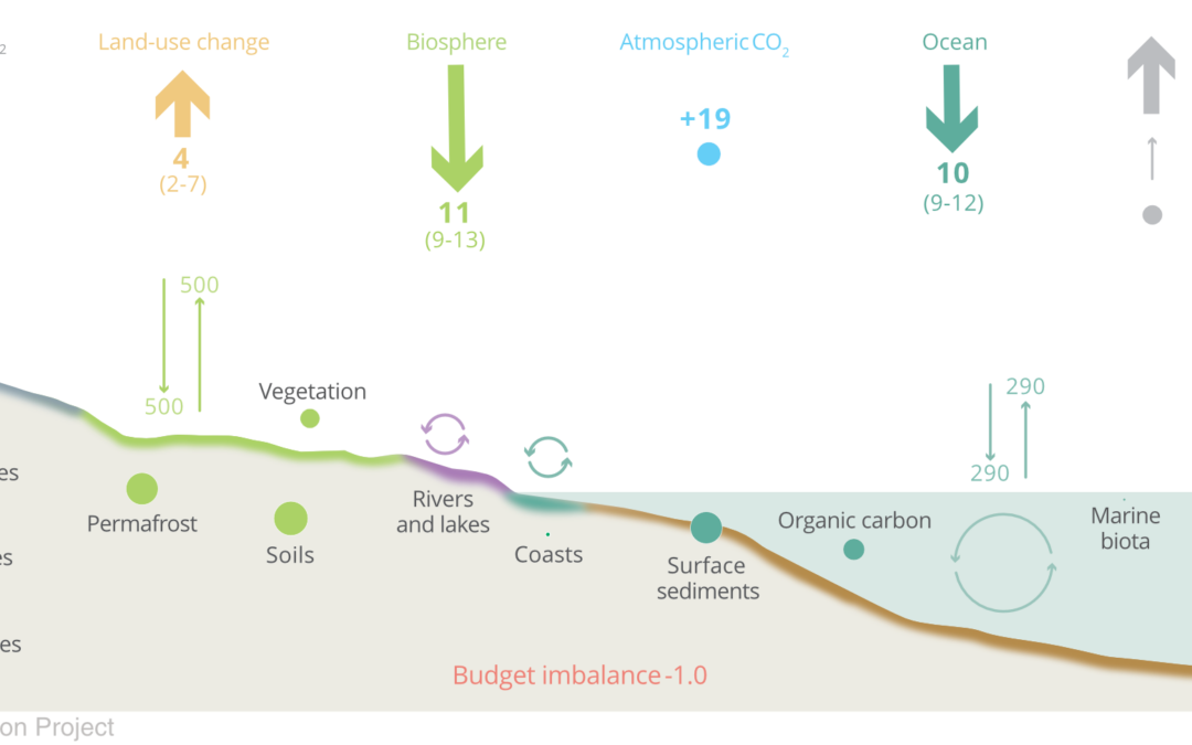 El balance de carbono global 2021